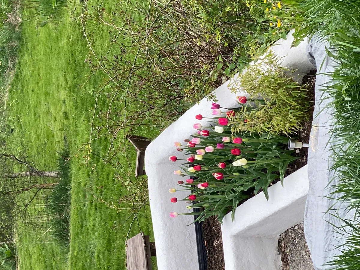 Hyresbostad på Vendelsö i vendelso