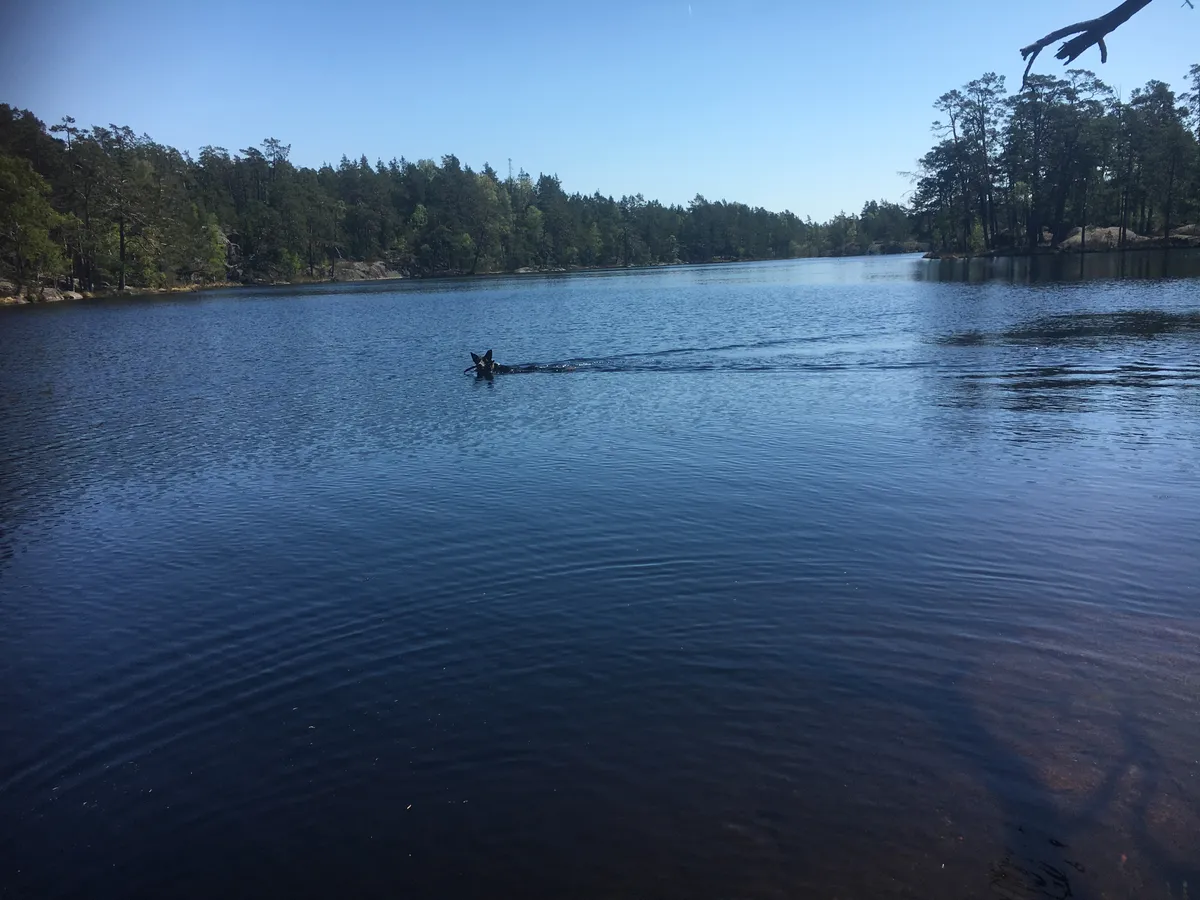 Hyresbostad på Vendelsö i vendelso