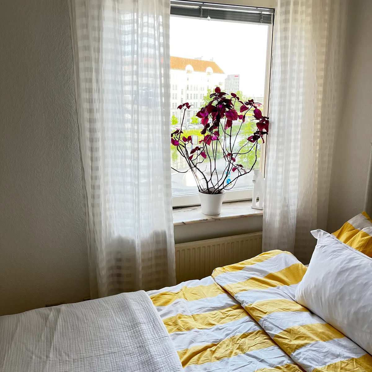 Hyreslägenhet på Malmö i malmo