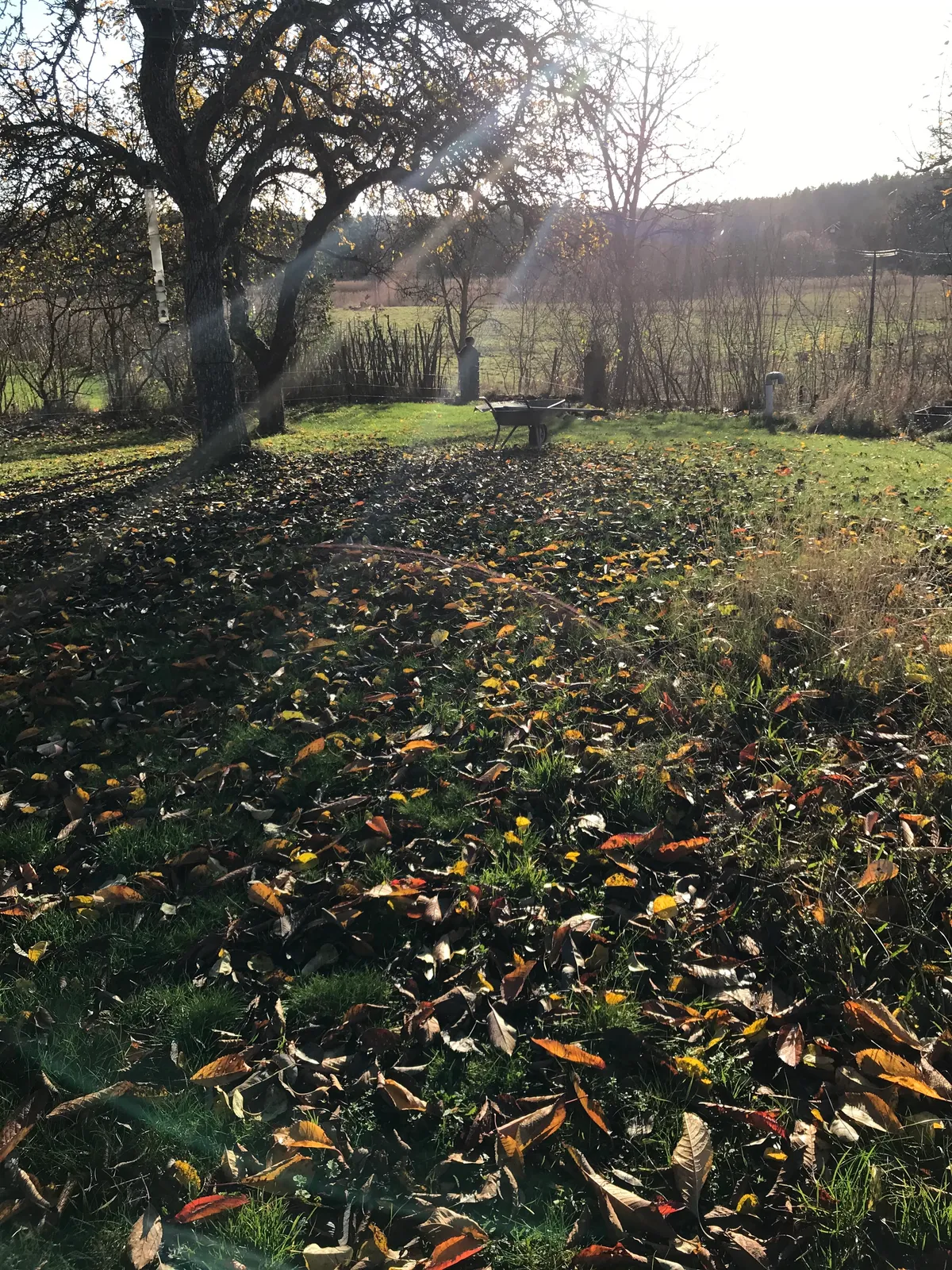 Hyresbostad på Tyresö i tyreso