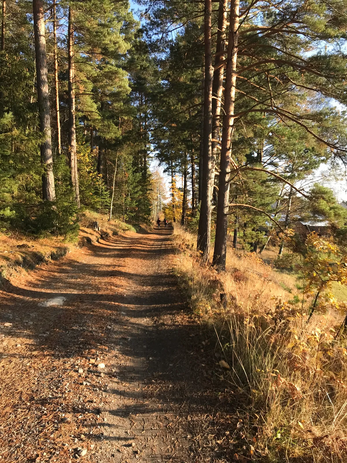 Hyresbostad på Tyresö i tyreso
