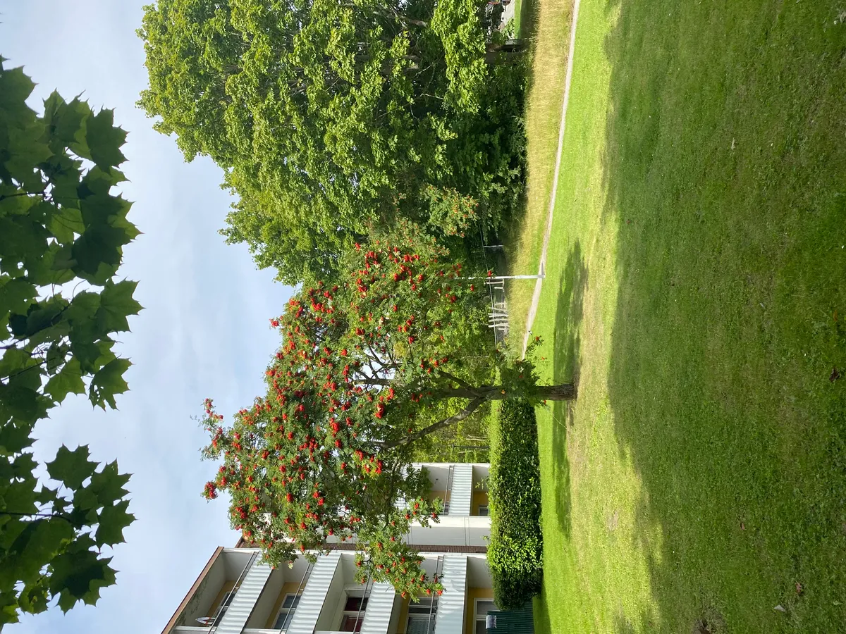 Hyreslägenhet på Malmö i malmo