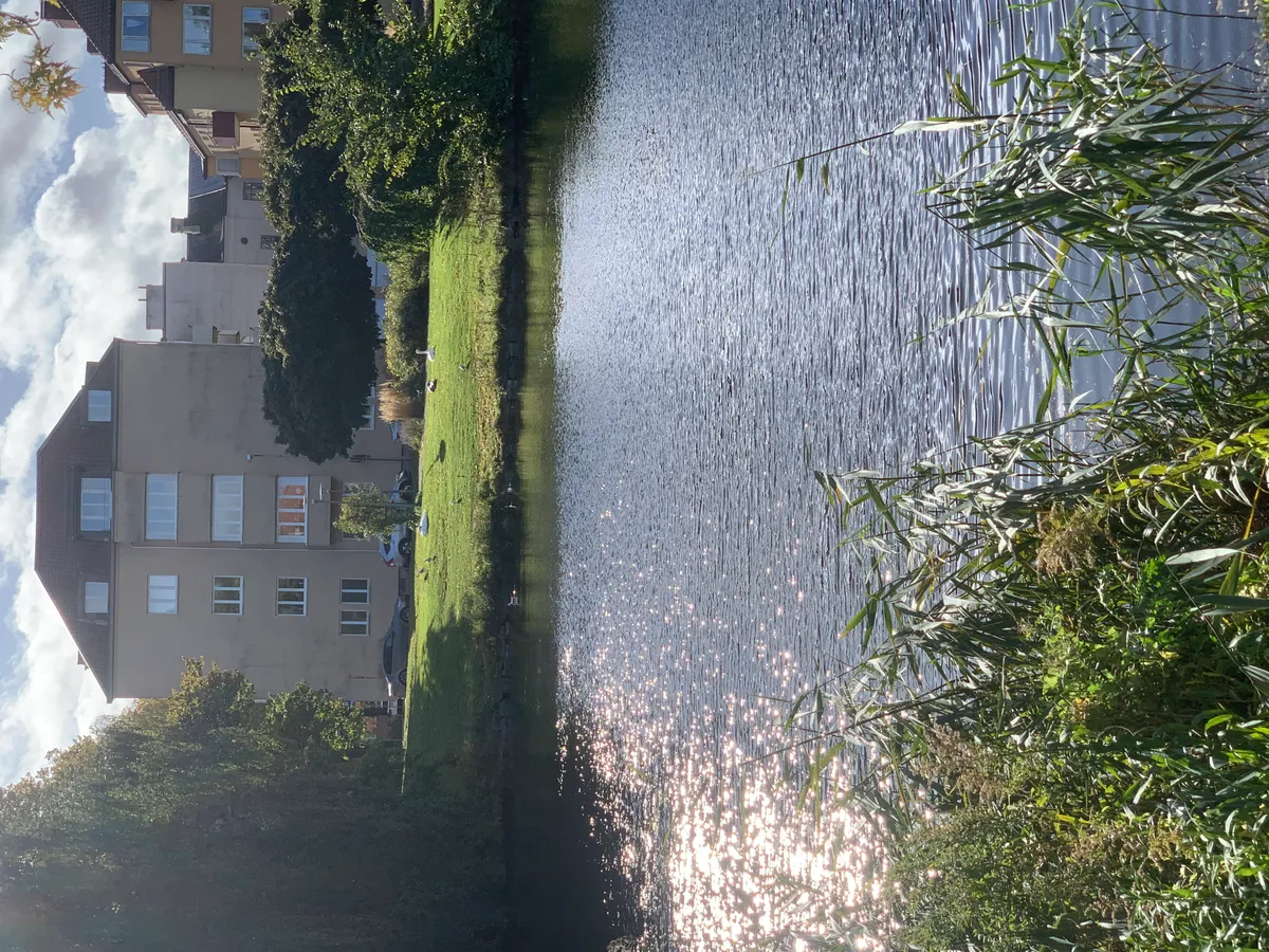 Hyreslägenhet på Landskrona i landskrona