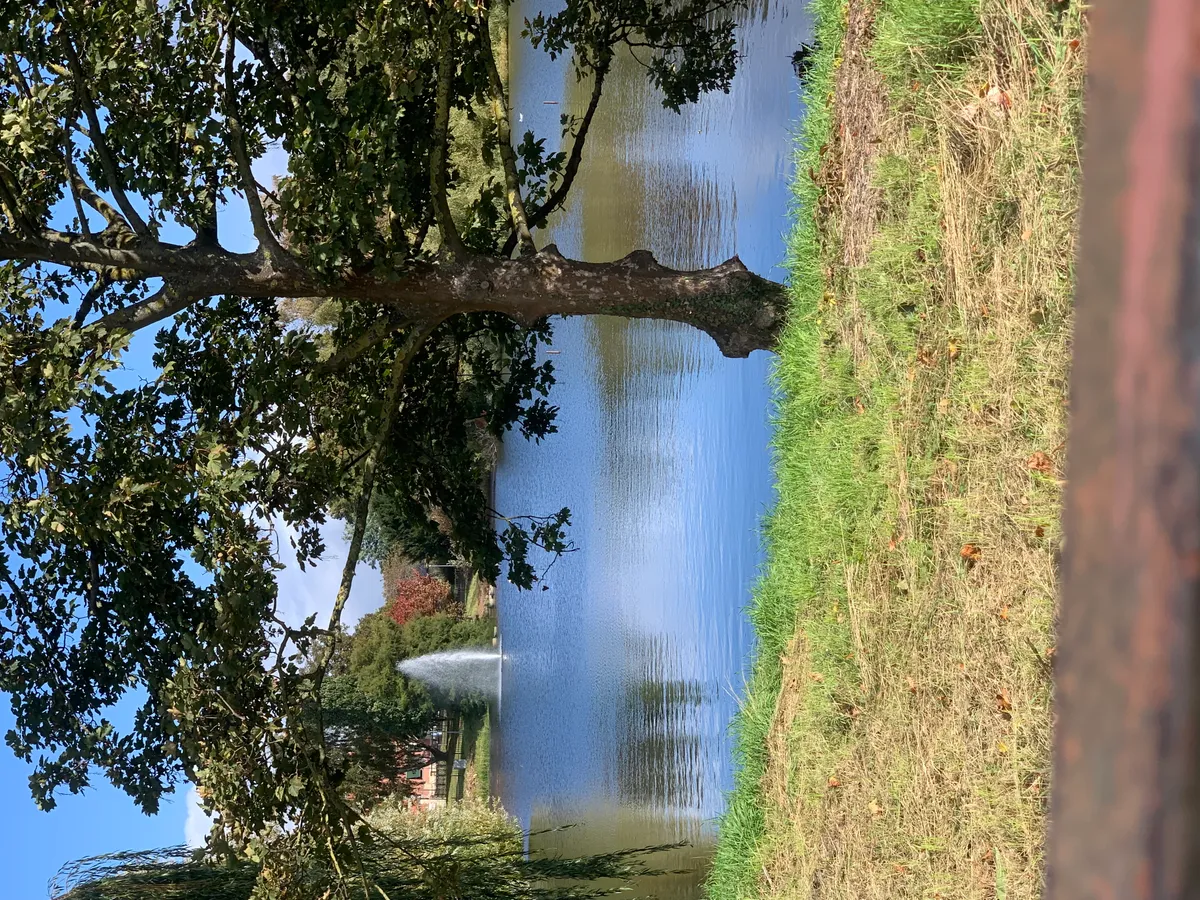 Hyreslägenhet på Landskrona i landskrona