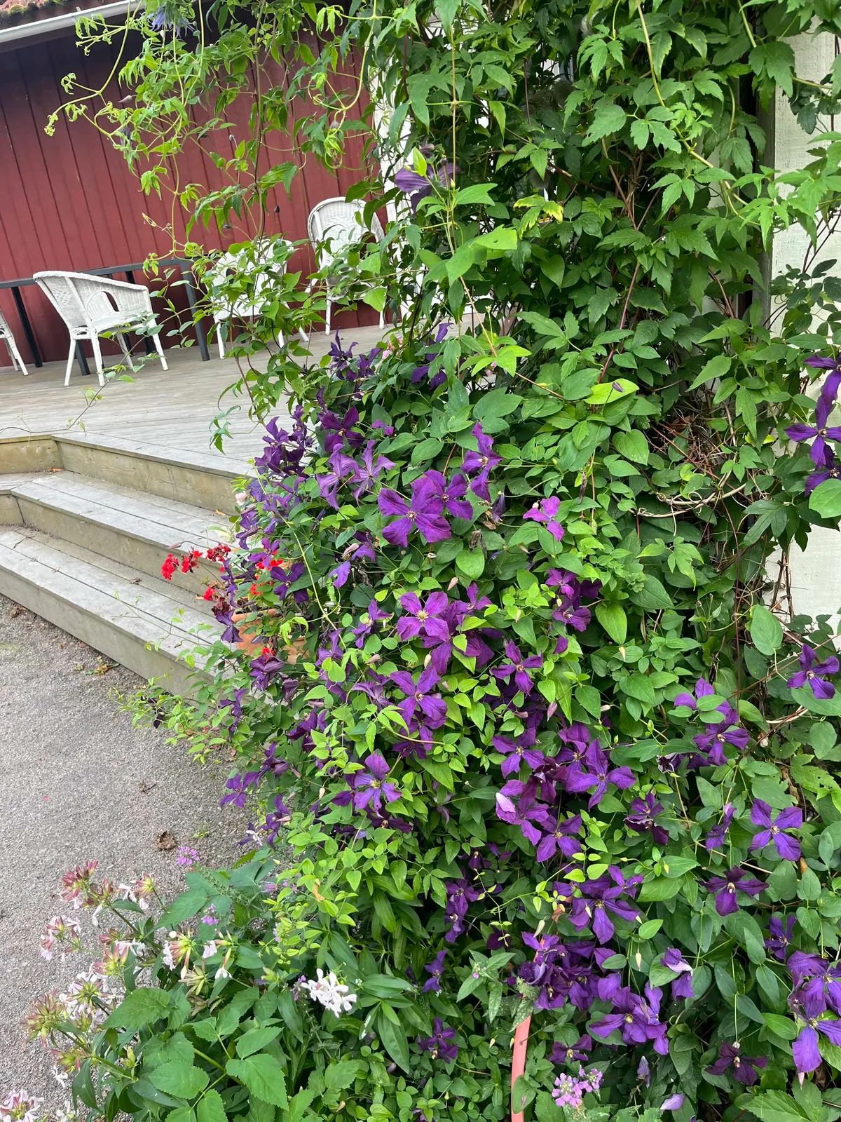 Hyresbostad på Linköping i linkoping