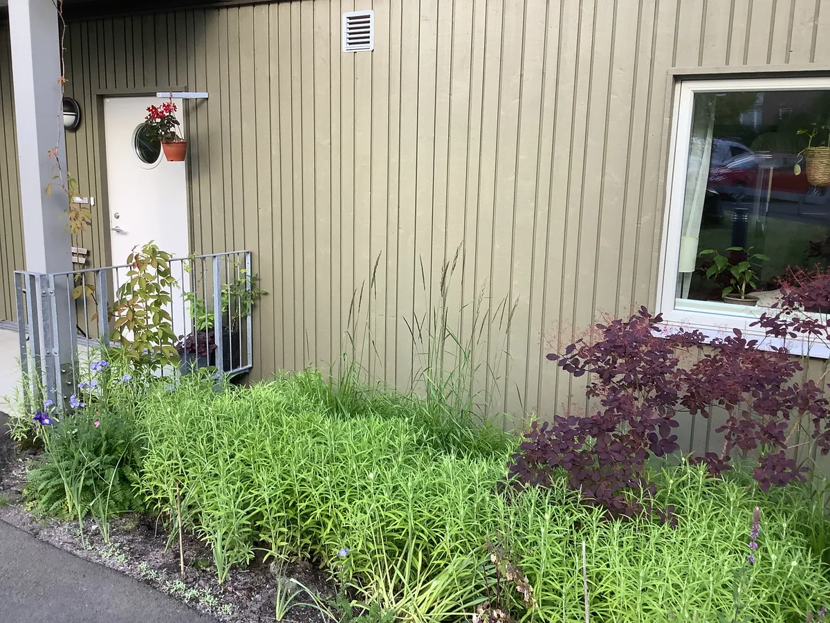 Hyreslägenhet på Göteborg i goteborg