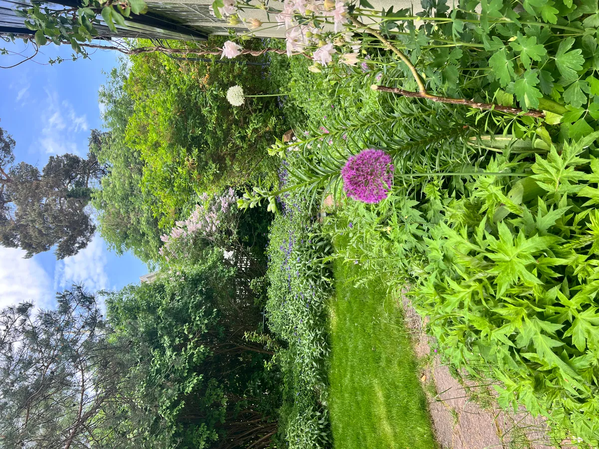 Hyreslägenhet på Bromma i bromma