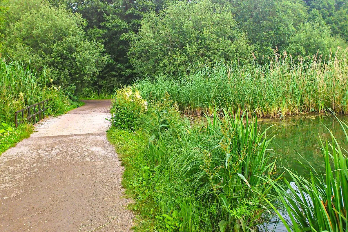 Hyreslägenhet på Sundbyberg i sundbyberg