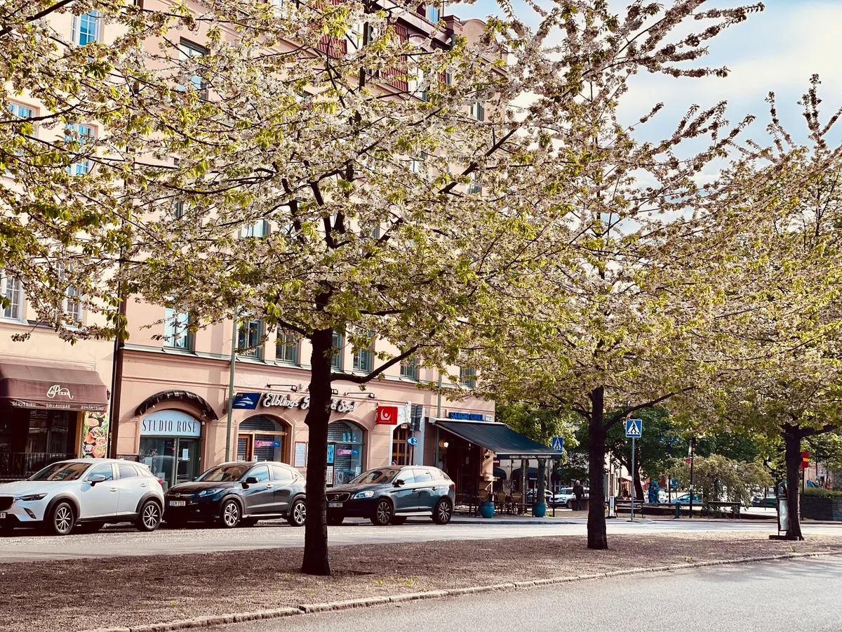 Hyreslägenhet på Solna i solna