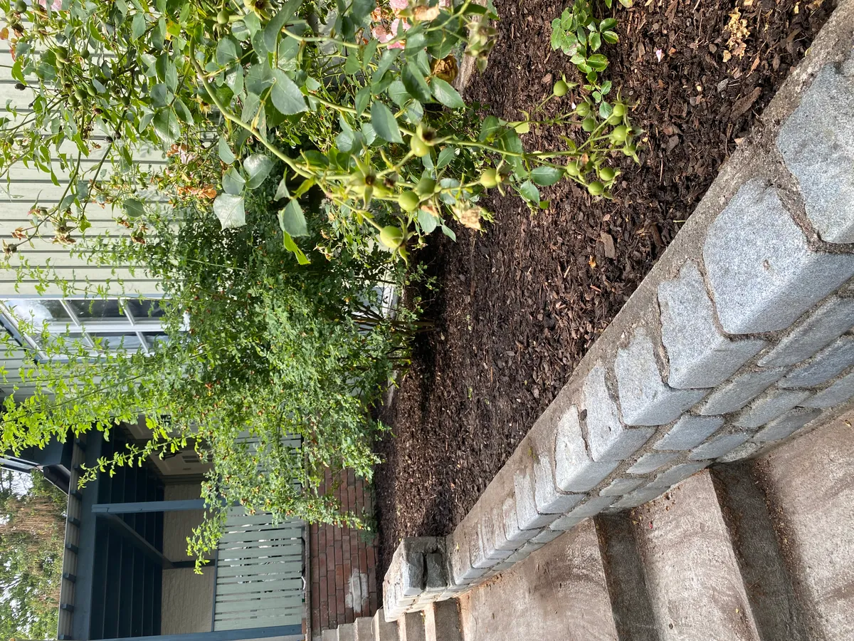 Hyreslägenhet på Sollentuna i sollentuna