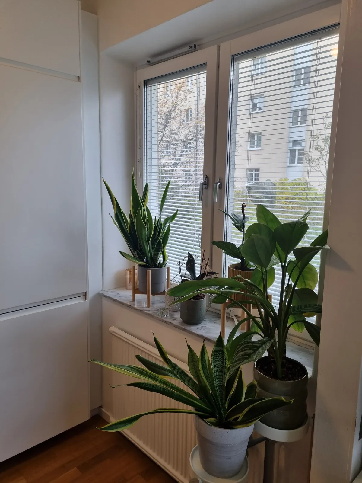 Hyreslägenhet på Stockholm i stockholm