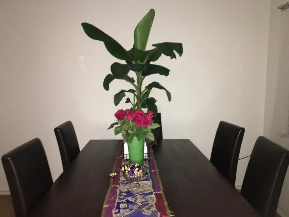 Hyresbostad på Täby i taby