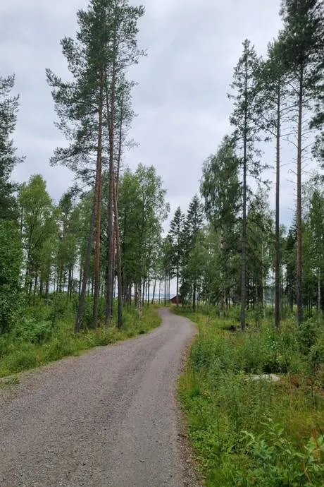 Hyresbostad på Byske i byske