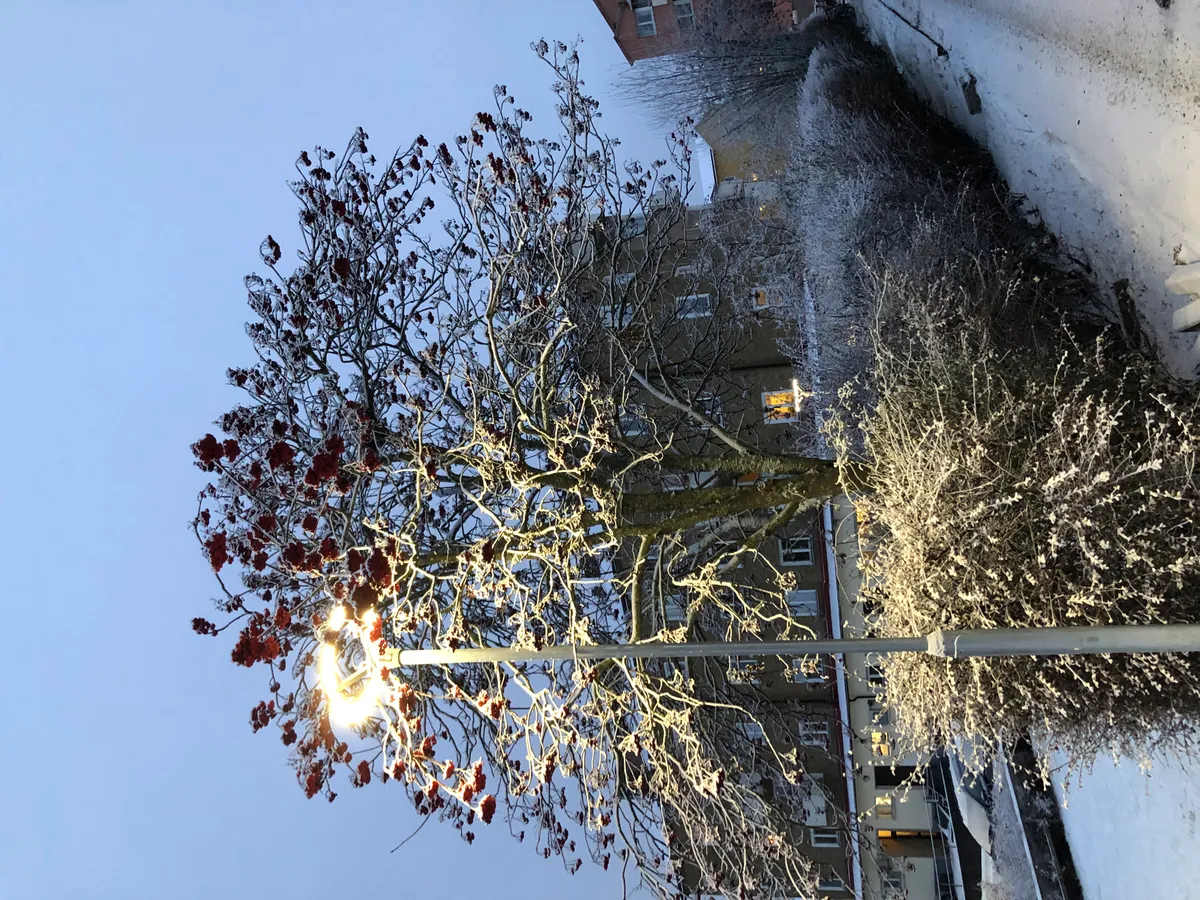 Hyreslägenhet på Norrköping i norrkoping