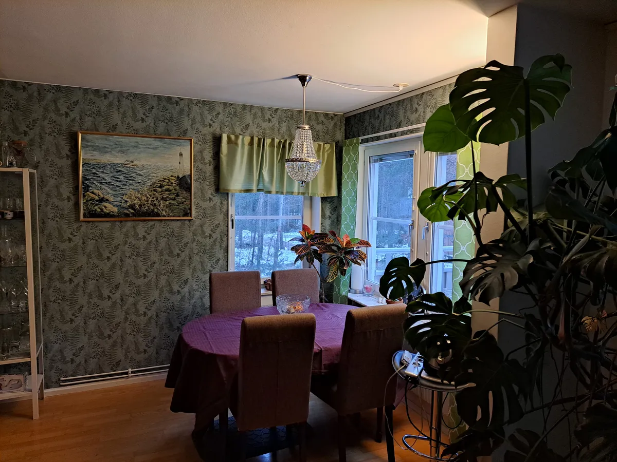 Hyreslägenhet på Umeå i umea