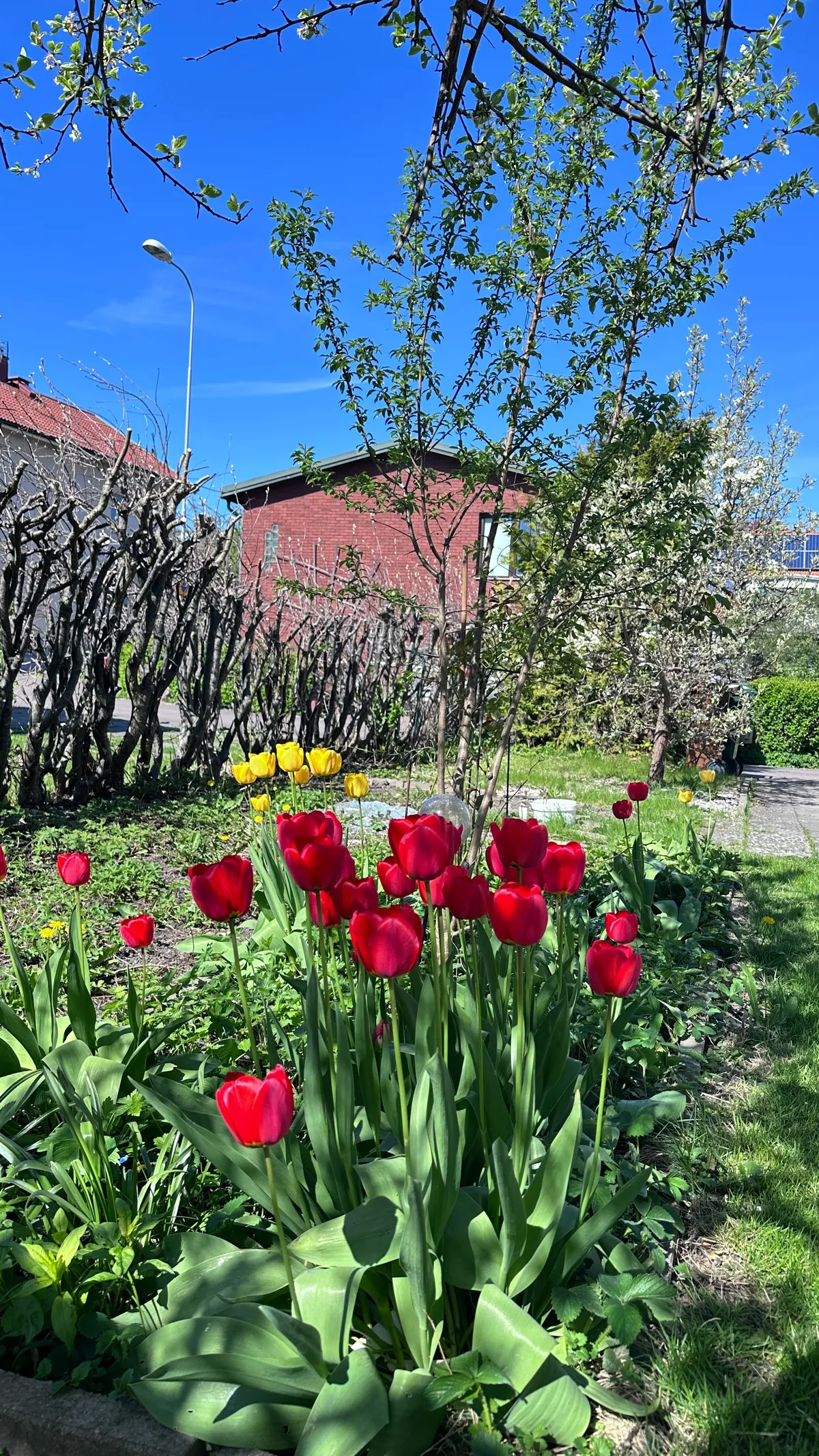 Hyresbostad på Göteborg i goteborg