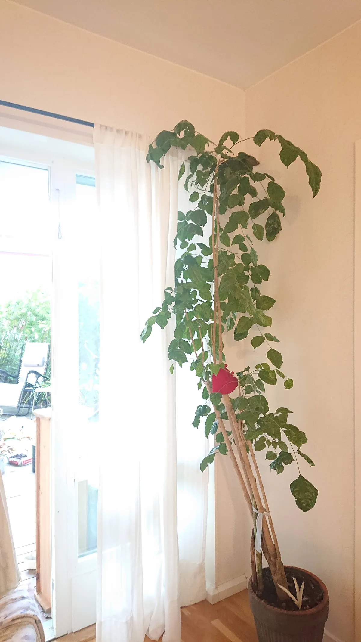 Hyreslägenhet på Tyresö i tyreso