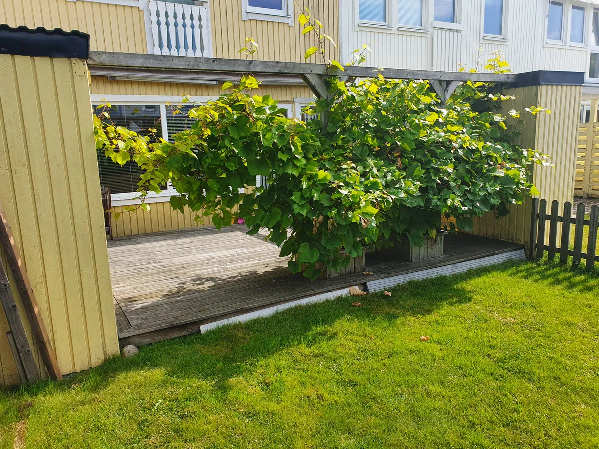 Hyresbostad på Västra Frölunda i vastra-frolunda