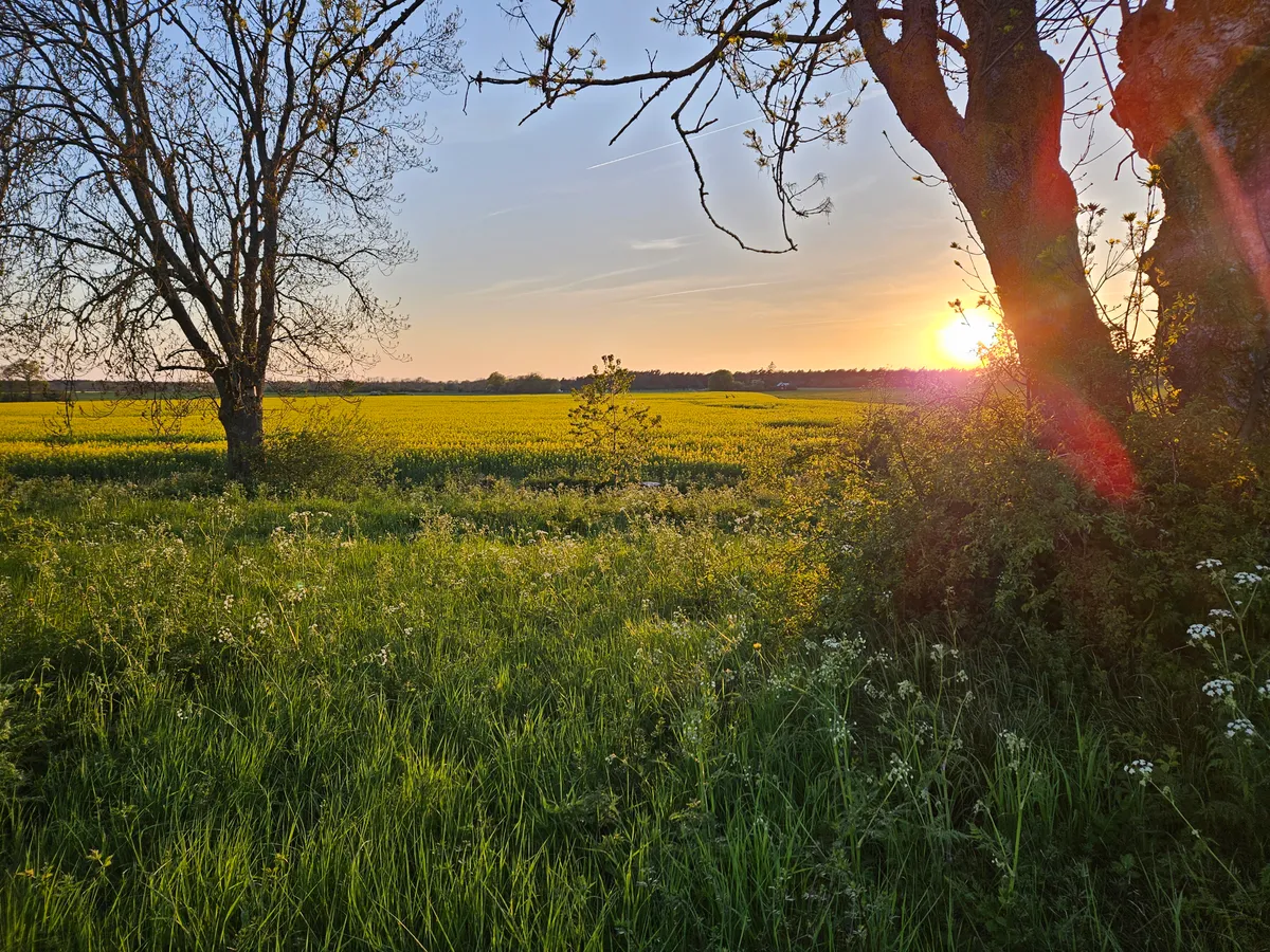 Hyresbostad på Visby i visby