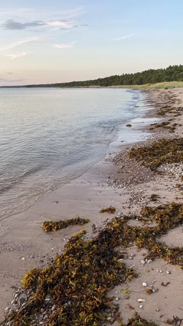 Hyresbostad på Visby i visby