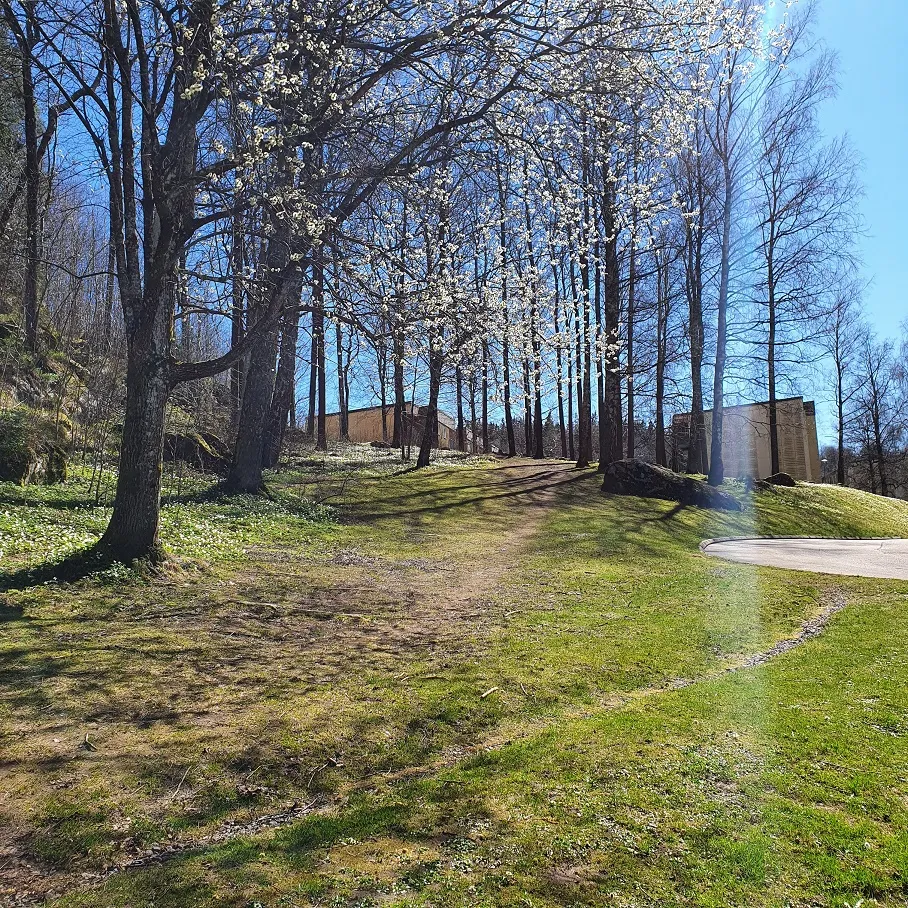 Hyreslägenhet på Borås i boras