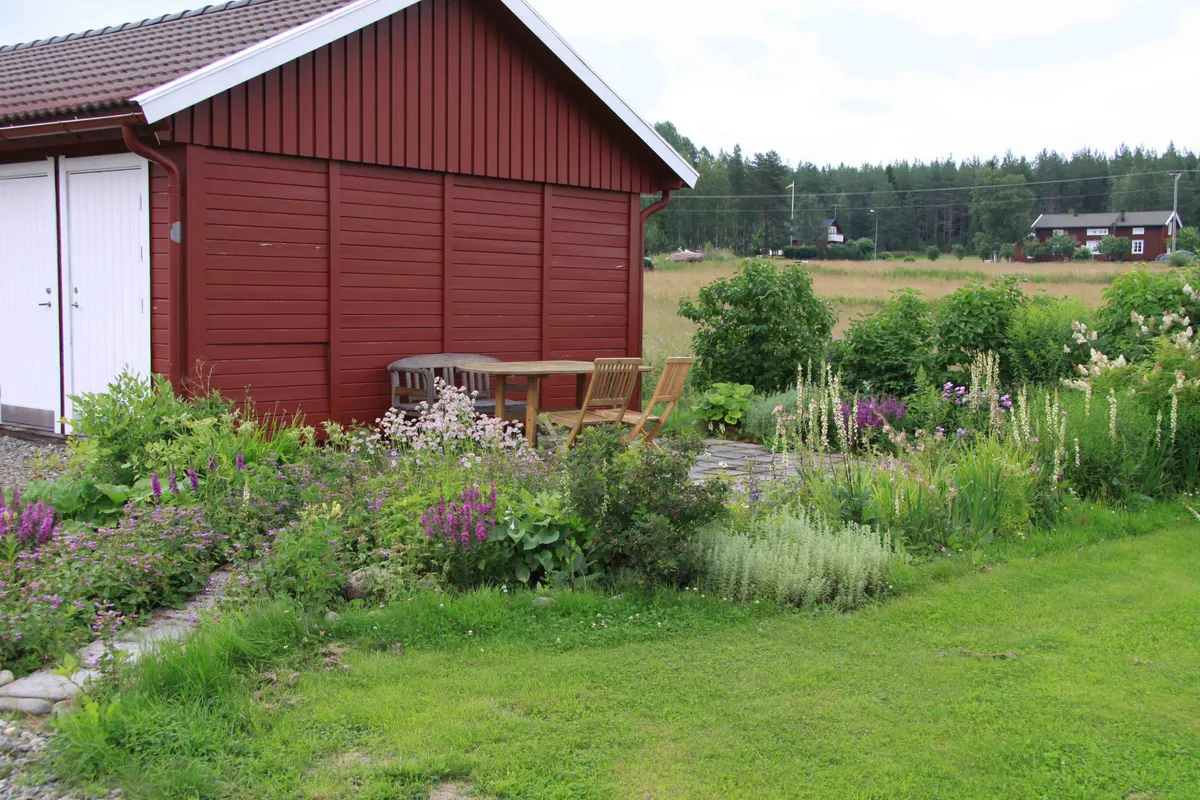 Hyreslägenhet på Umeå i umea