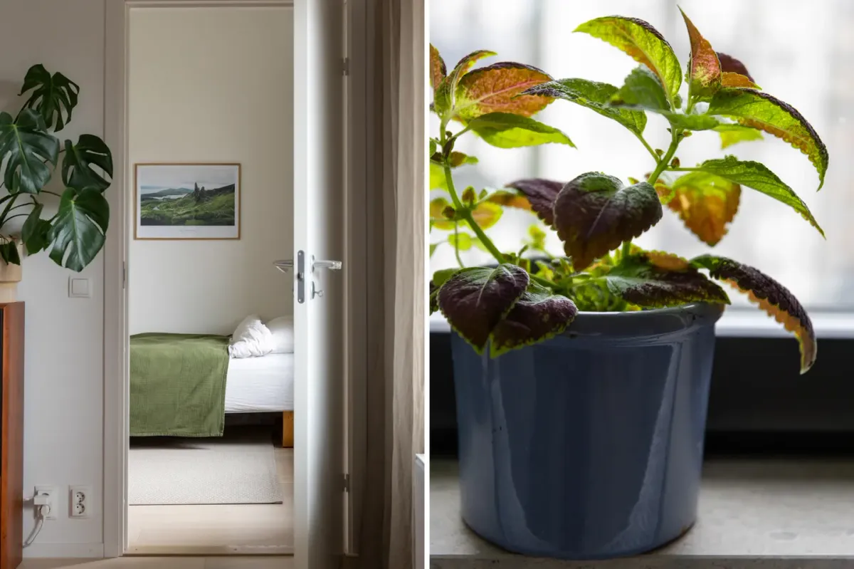 Hyreslägenhet på Malmö i malmo