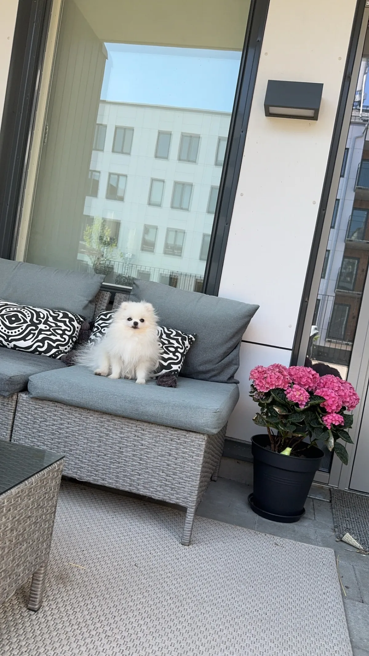 Hyreslägenhet på Helsingborg i helsingborg