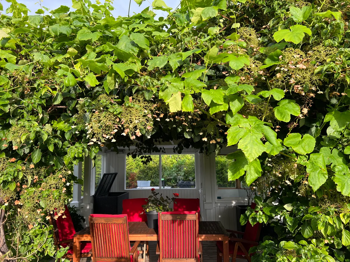 Hyresbostad på Lidingö i lidingo