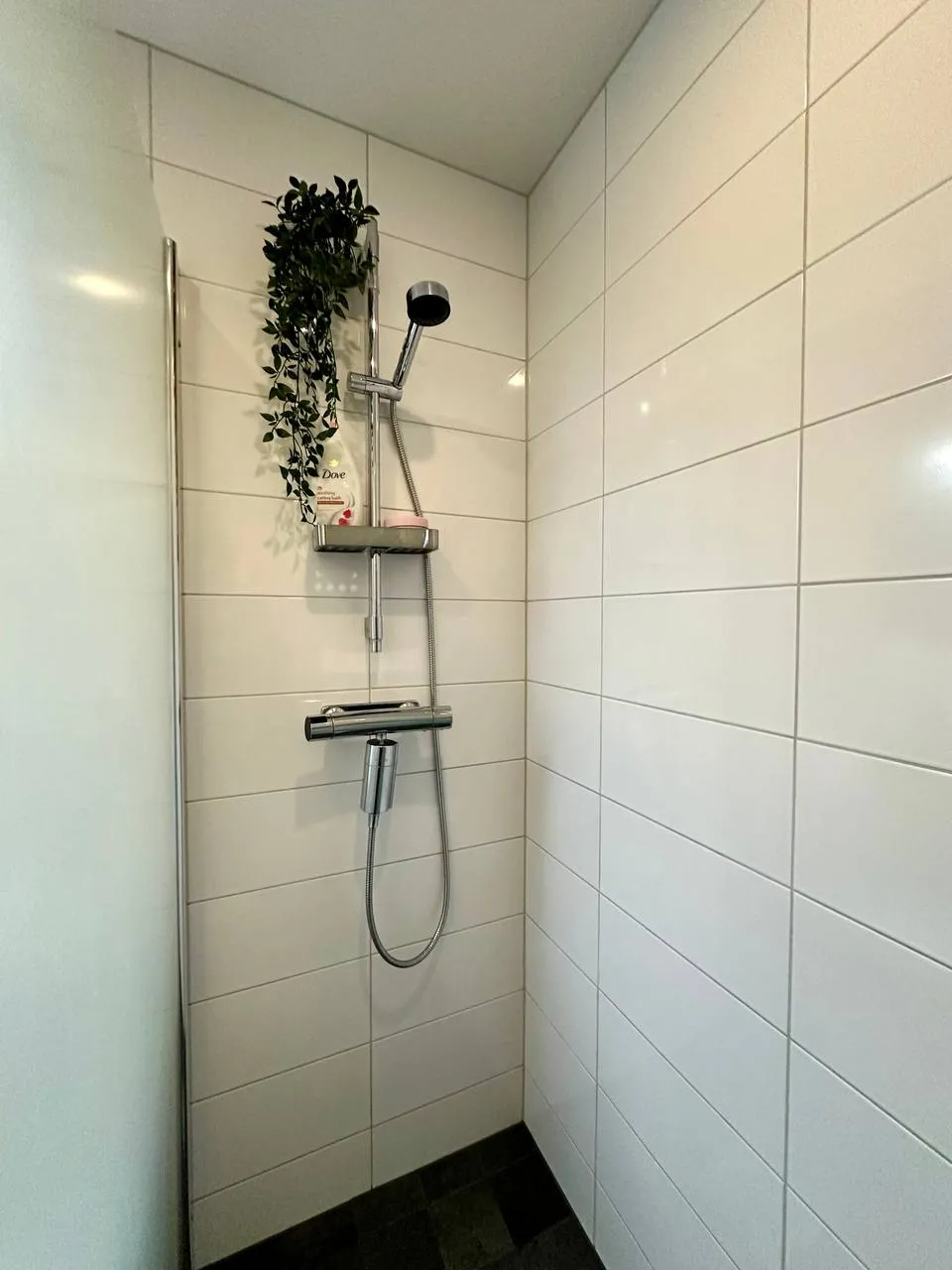 Hyreslägenhet på Helsingborg i helsingborg