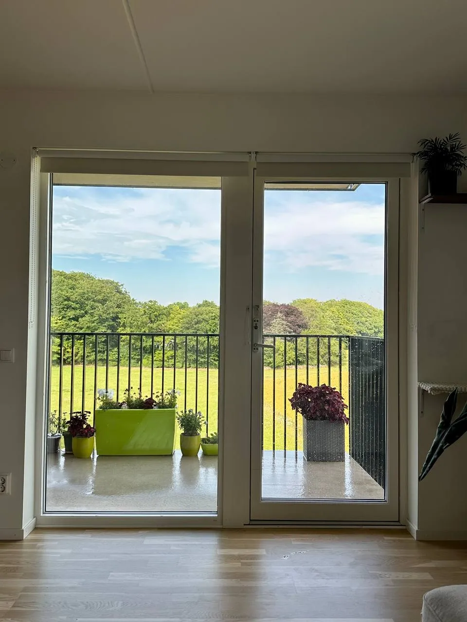 Hyreslägenhet på Helsingborg i helsingborg