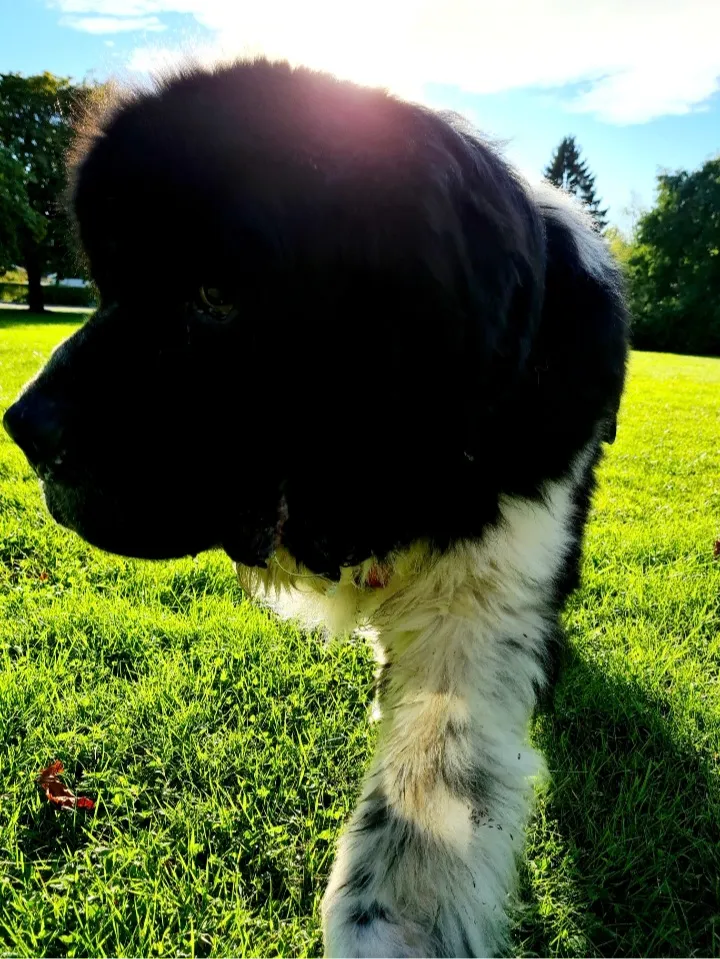 Hyresbostad på Linköping i linkoping