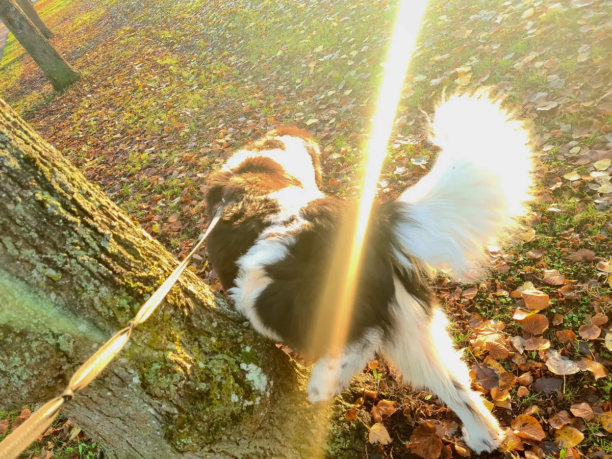 Hyresbostad på Linköping i linkoping