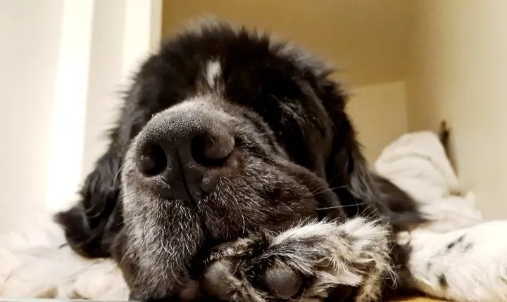 Hyresbostad på Linköping i linkoping