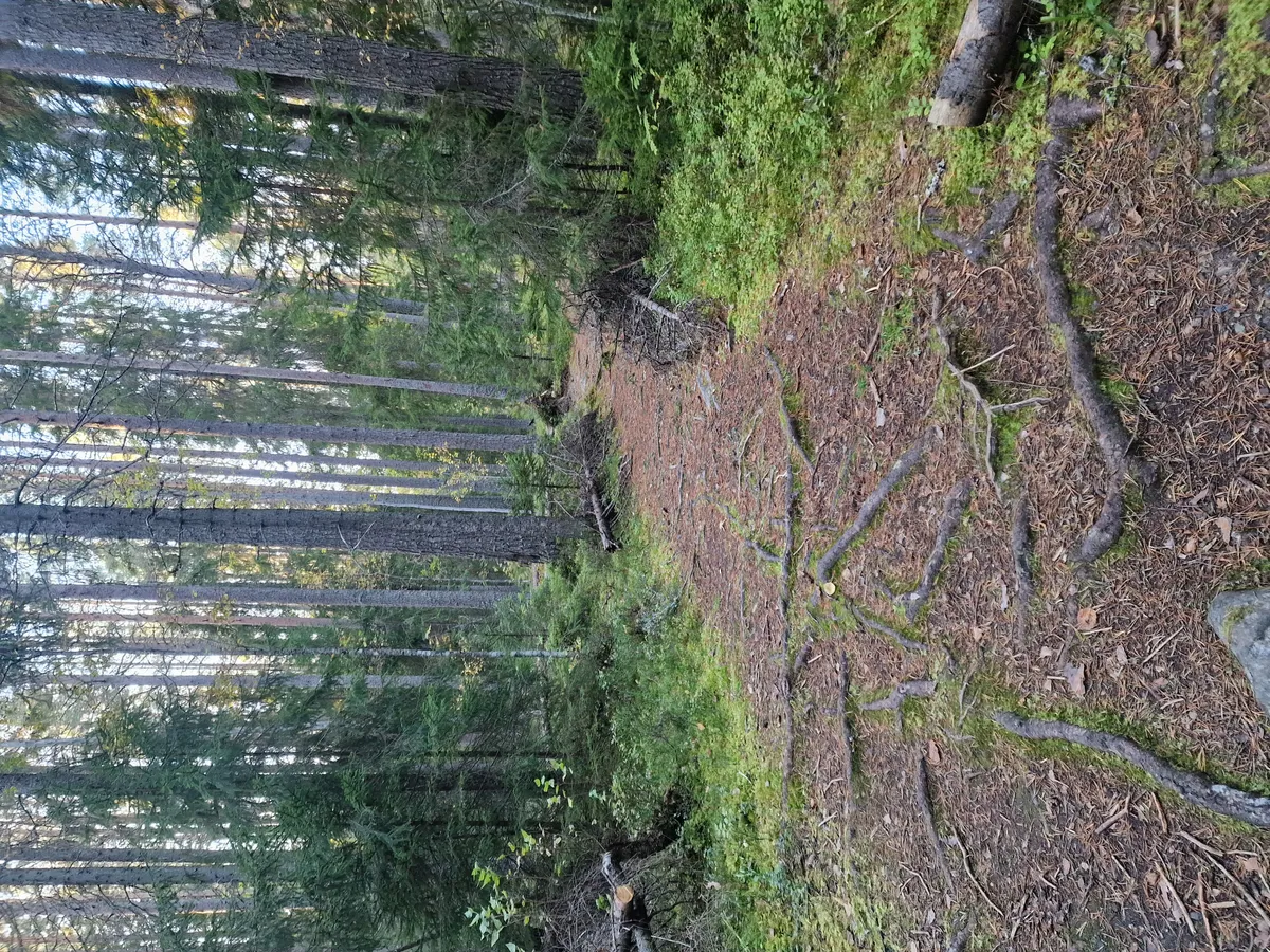 Hyreslägenhet på Östersund i ostersund