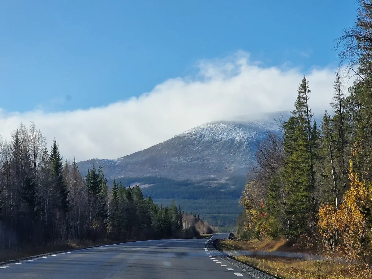 Hyreslägenhet på Östersund i ostersund