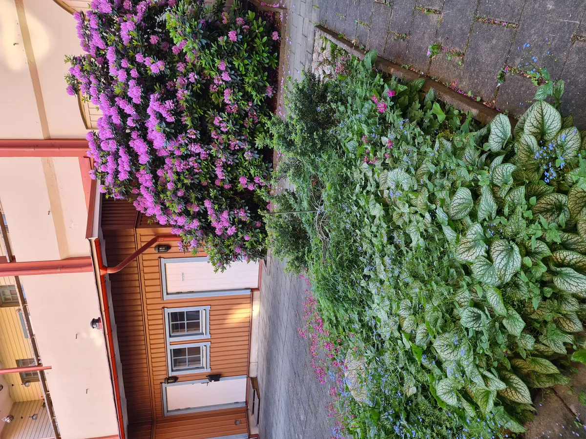 Hyreslägenhet på Uddevalla i uddevalla