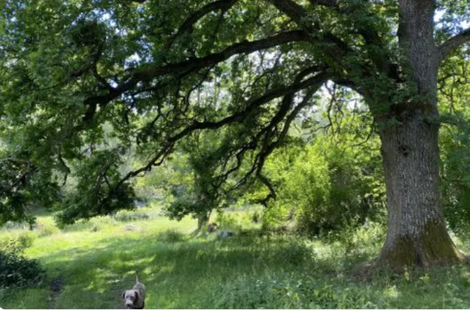 Hyreslägenhet på Uppsala i uppsala