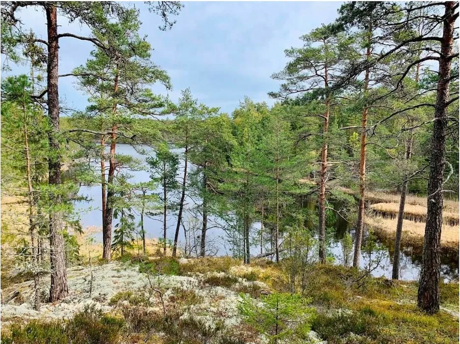 Hyresbostad på Ingarö i ingaro