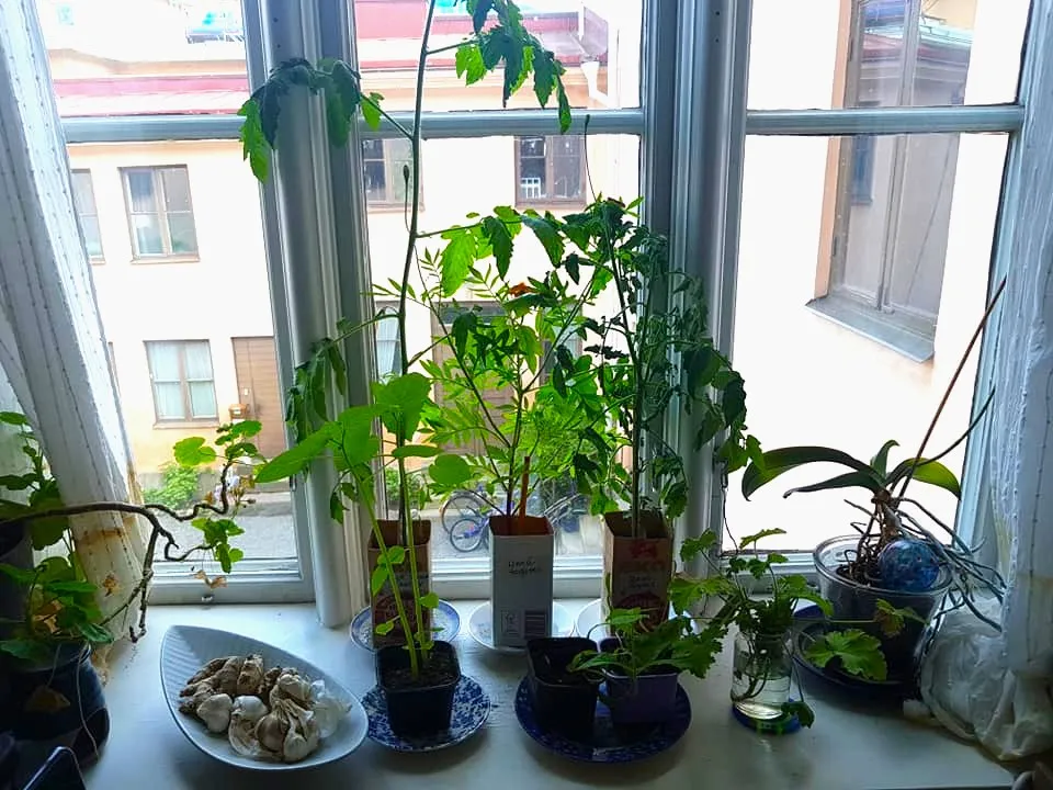 Hyreslägenhet på Gävle i gavle