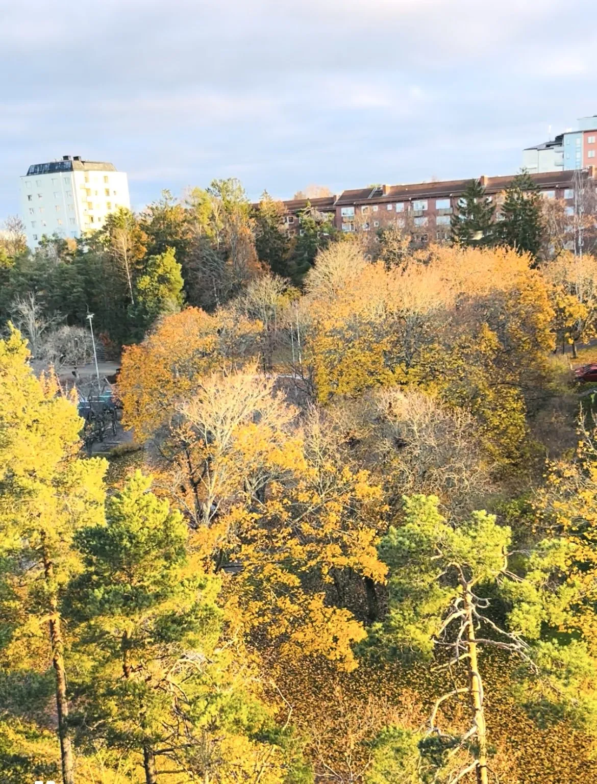Hyreslägenhet på Bandhagen i bandhagen