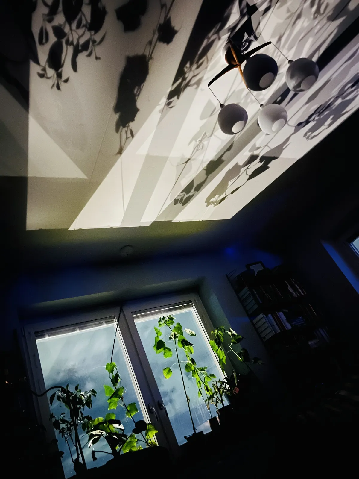 Hyreslägenhet på Bandhagen i bandhagen