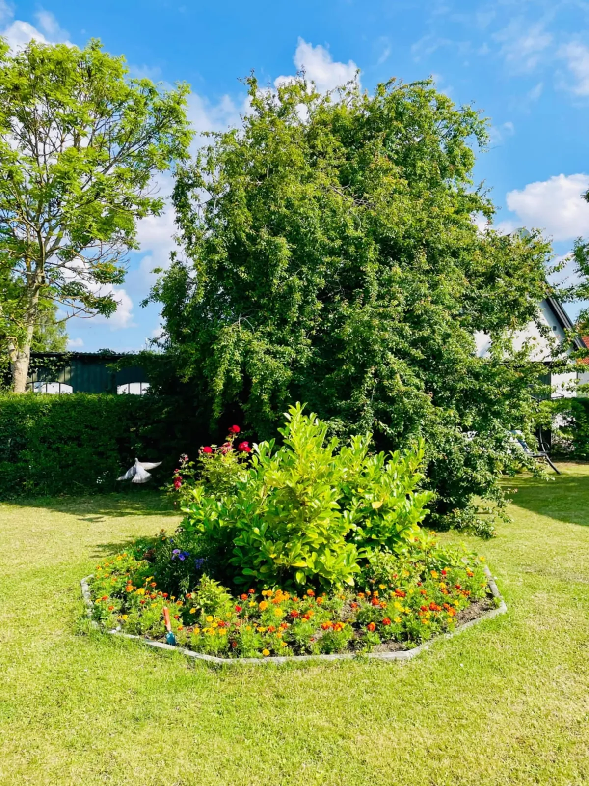 Hyresbostad på Trelleborg i trelleborg