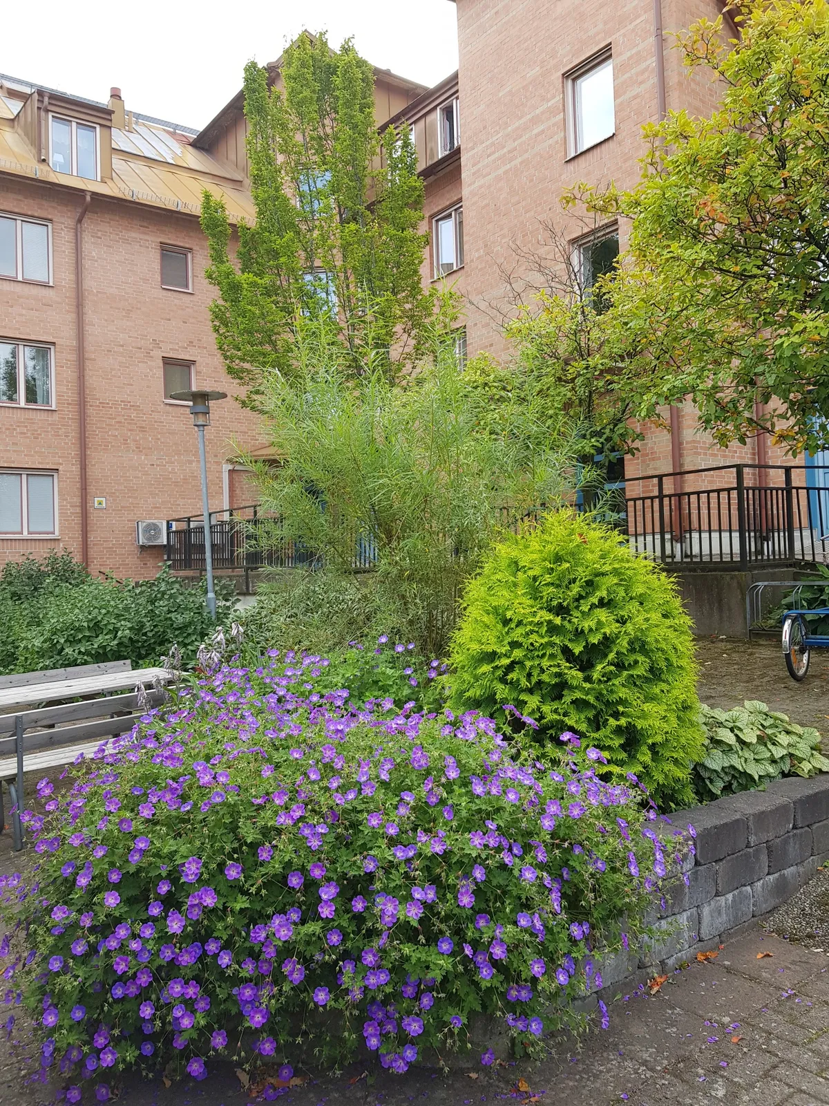 Hyreslägenhet på Uddevalla i uddevalla