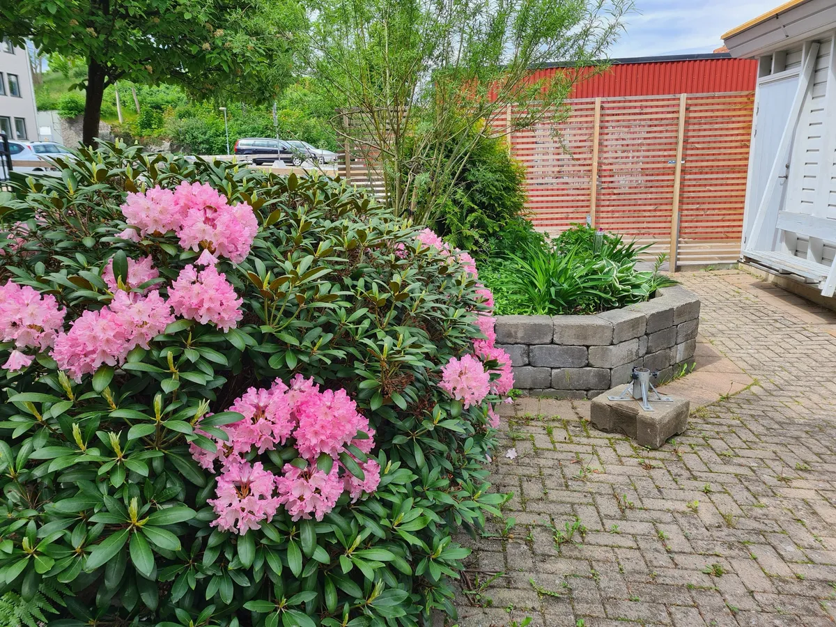 Hyreslägenhet på Uddevalla i uddevalla