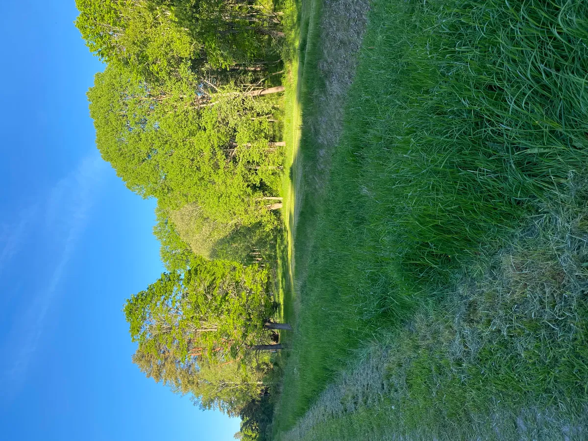 Hyresbostad på Lidingö i lidingo