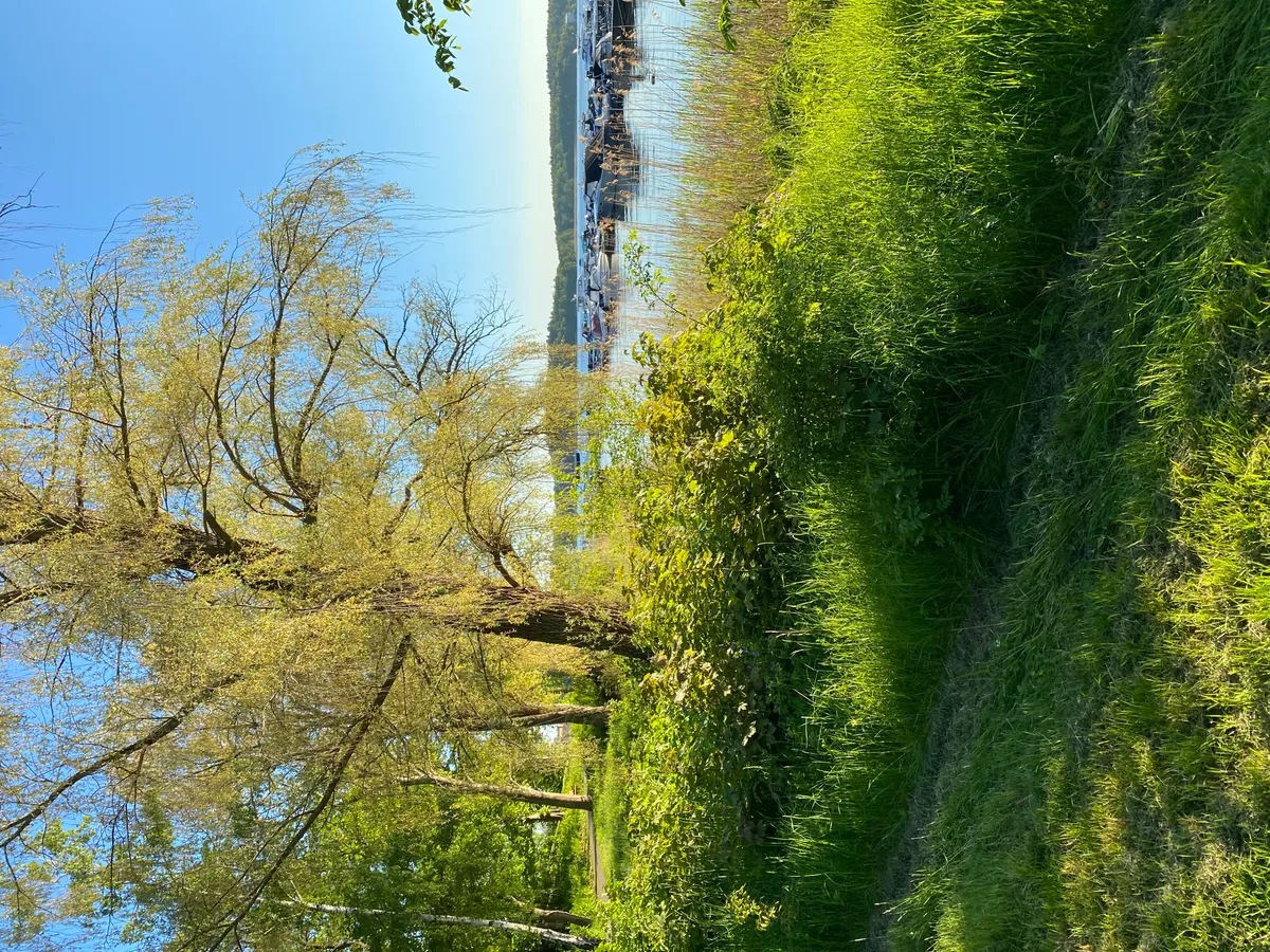 Hyresbostad på Lidingö i lidingo