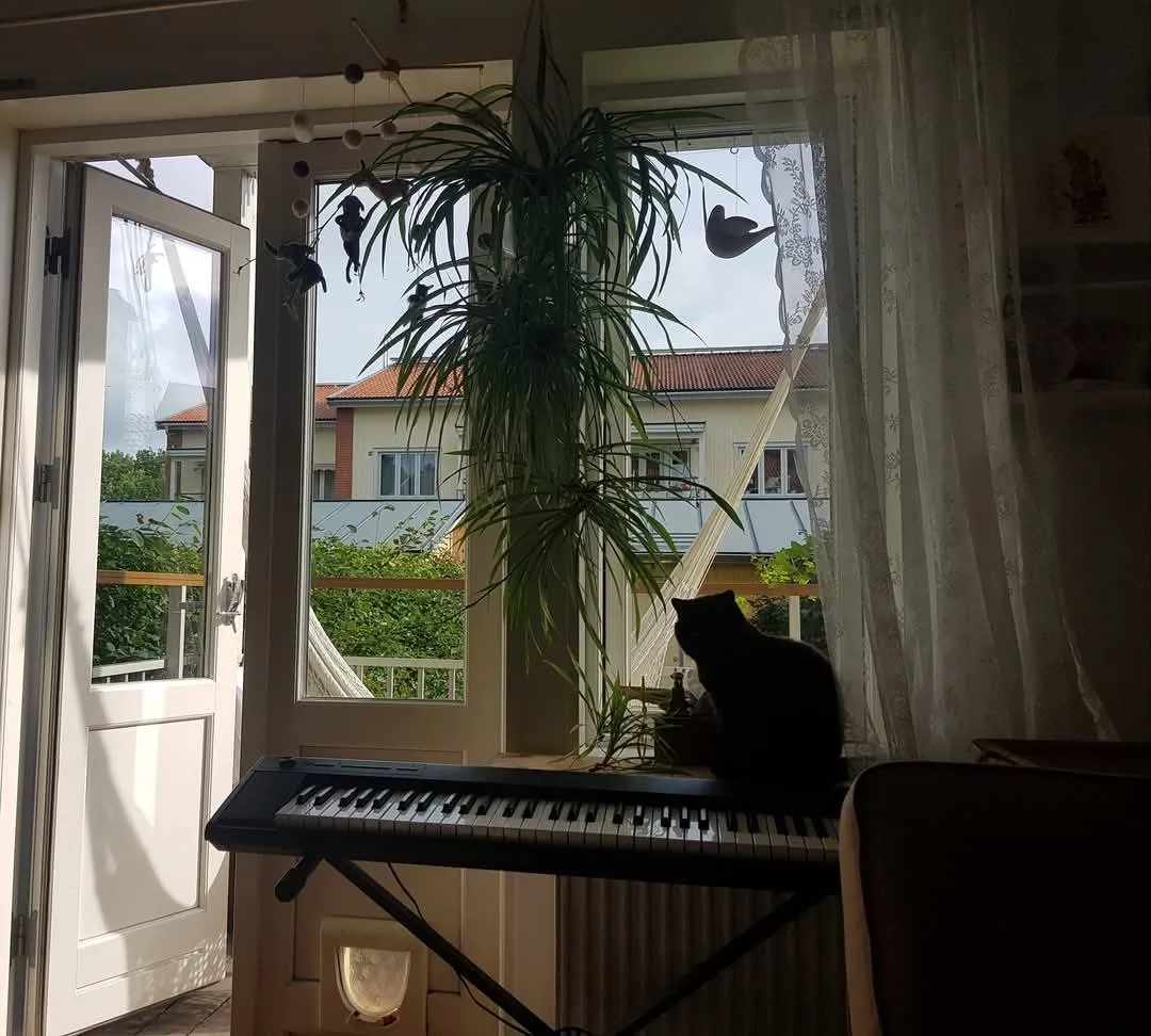 Hyreslägenhet på Skarpnäck i skarpnack