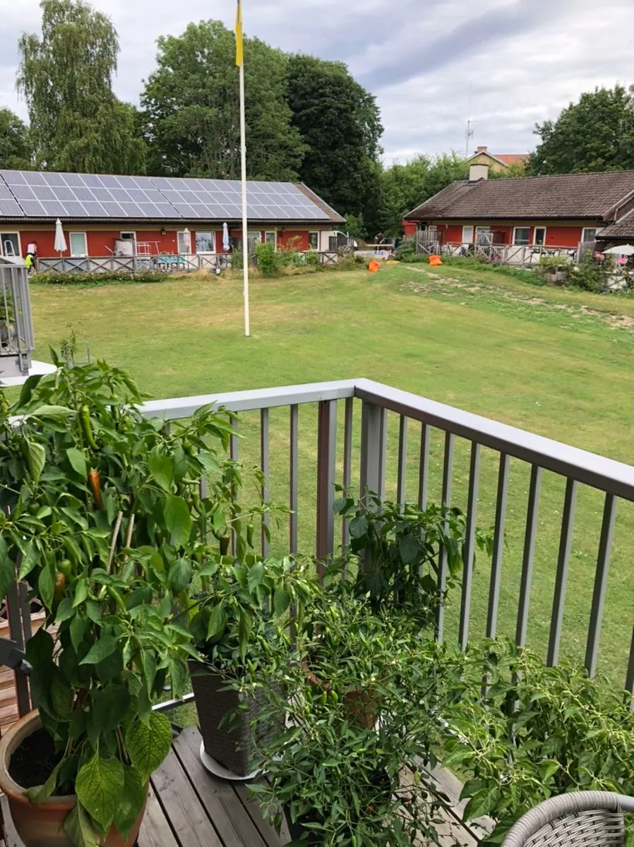 Hyreslägenhet på Norrtälje i norrtalje