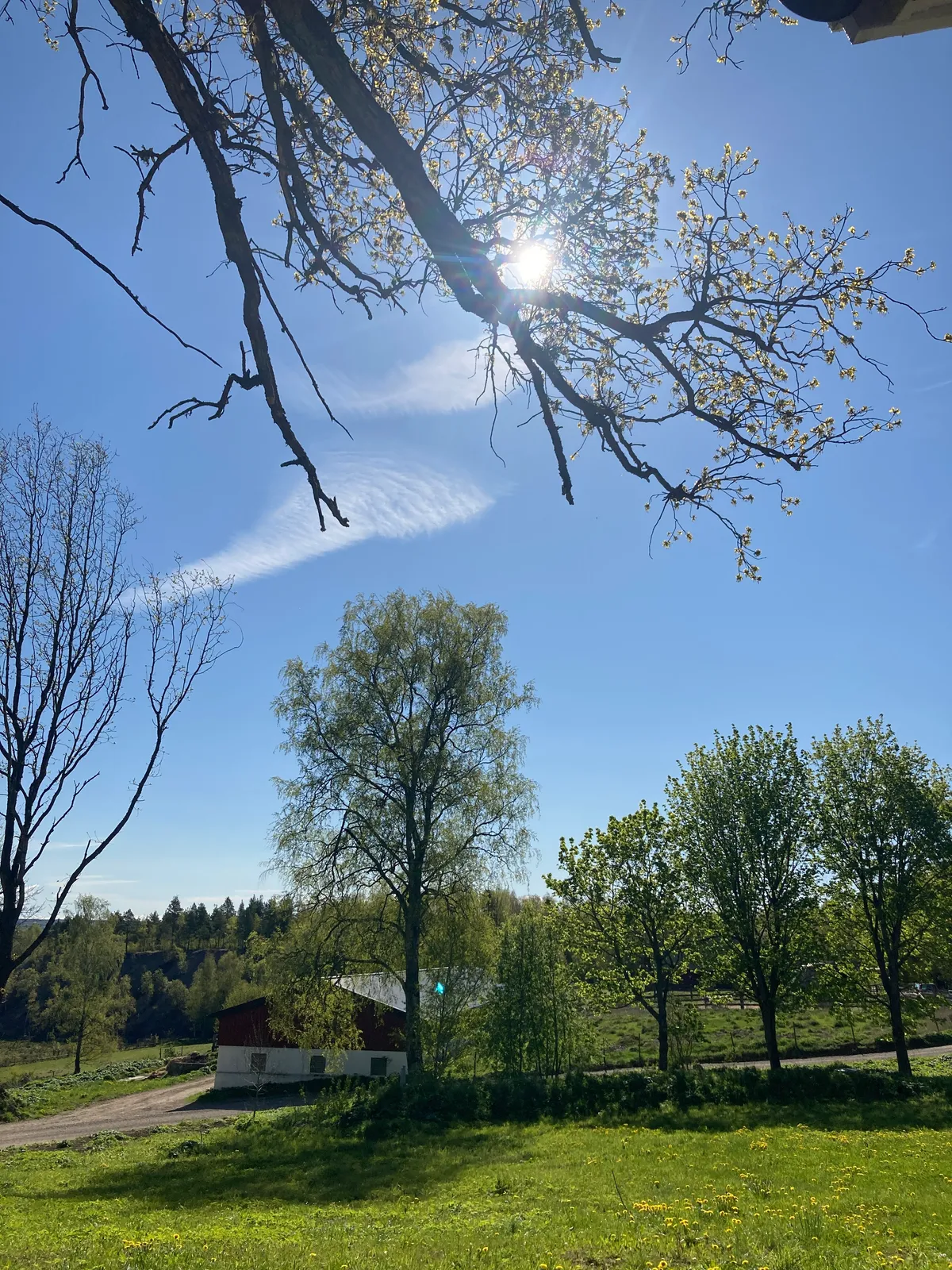 Hyreslägenhet på Falköping i falkoping